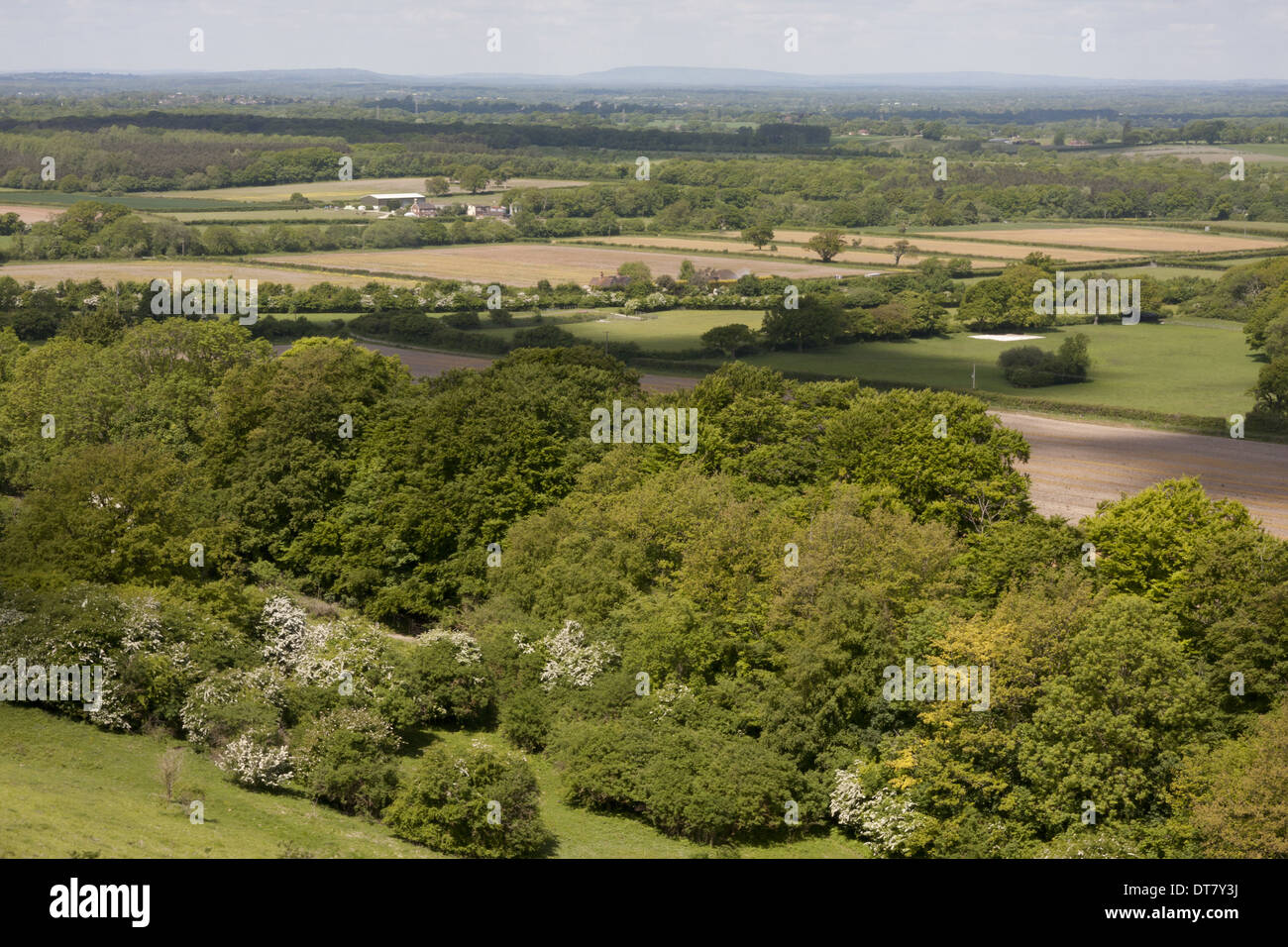 View of trees and farmland from chalk hill, looking from Wolstonbury Hill, South Downs N.P., West Sussex, England, June Stock Photo