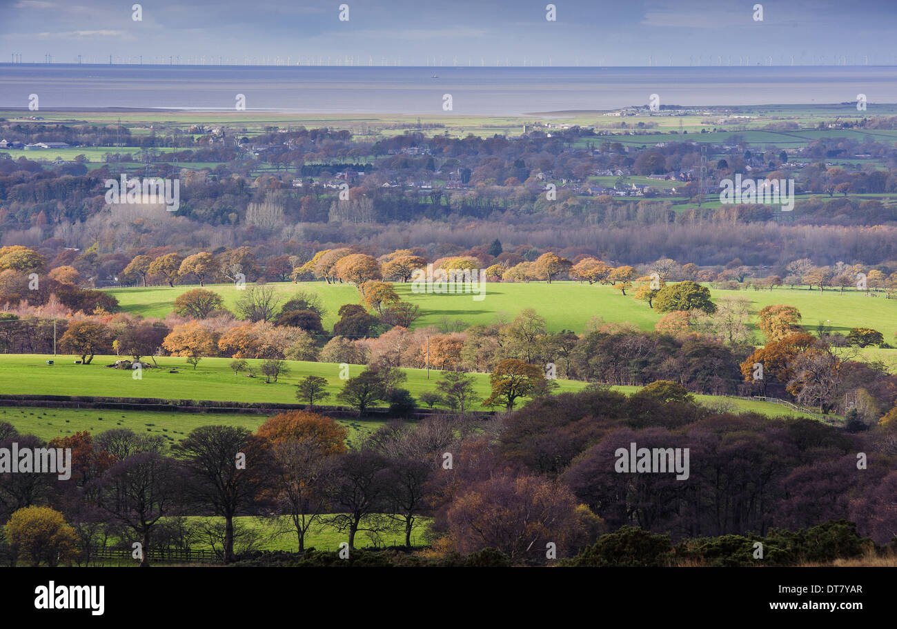View of farmland on coastal plain, looking towards Morecambe Bay from Harrisend Fell, The Fylde, Lancashire, England, November Stock Photo