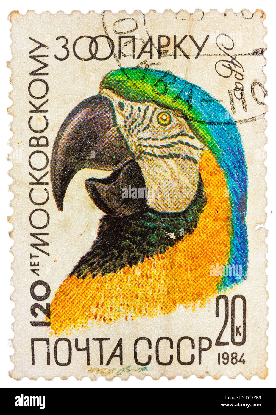 USSR - CIRCA 1984: A stamp printed by Russia showing parrot, 120-th anniversary of the Moscow Zoo, circa 1984 Stock Photo