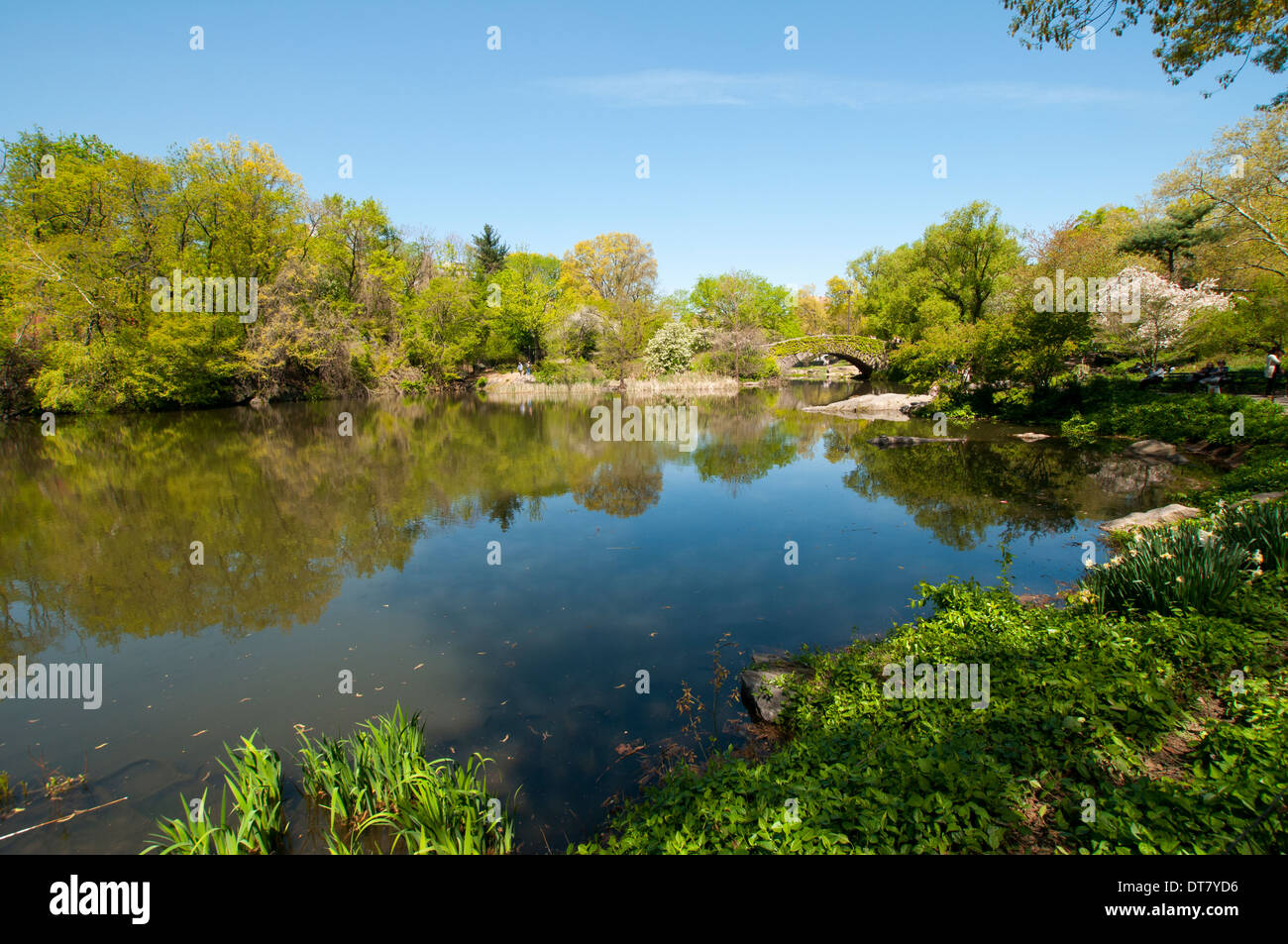 Blue mirror pond hi-res stock photography and images - Alamy