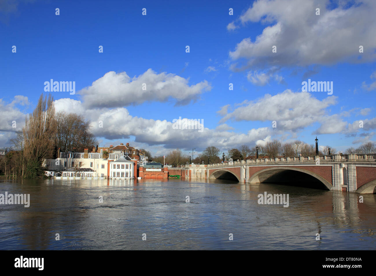 Hampton Court, Greater London, England, UK. 10th February 2014. After the exceptional levels of rainfall across the UK, the river Thames is rising under Hampton Court Bridge and the Mitre Hotel and Riverside Restuarant are looking increasing vulnerable to flooding. Credit:  Julia Gavin/Alamy Live News Stock Photo
