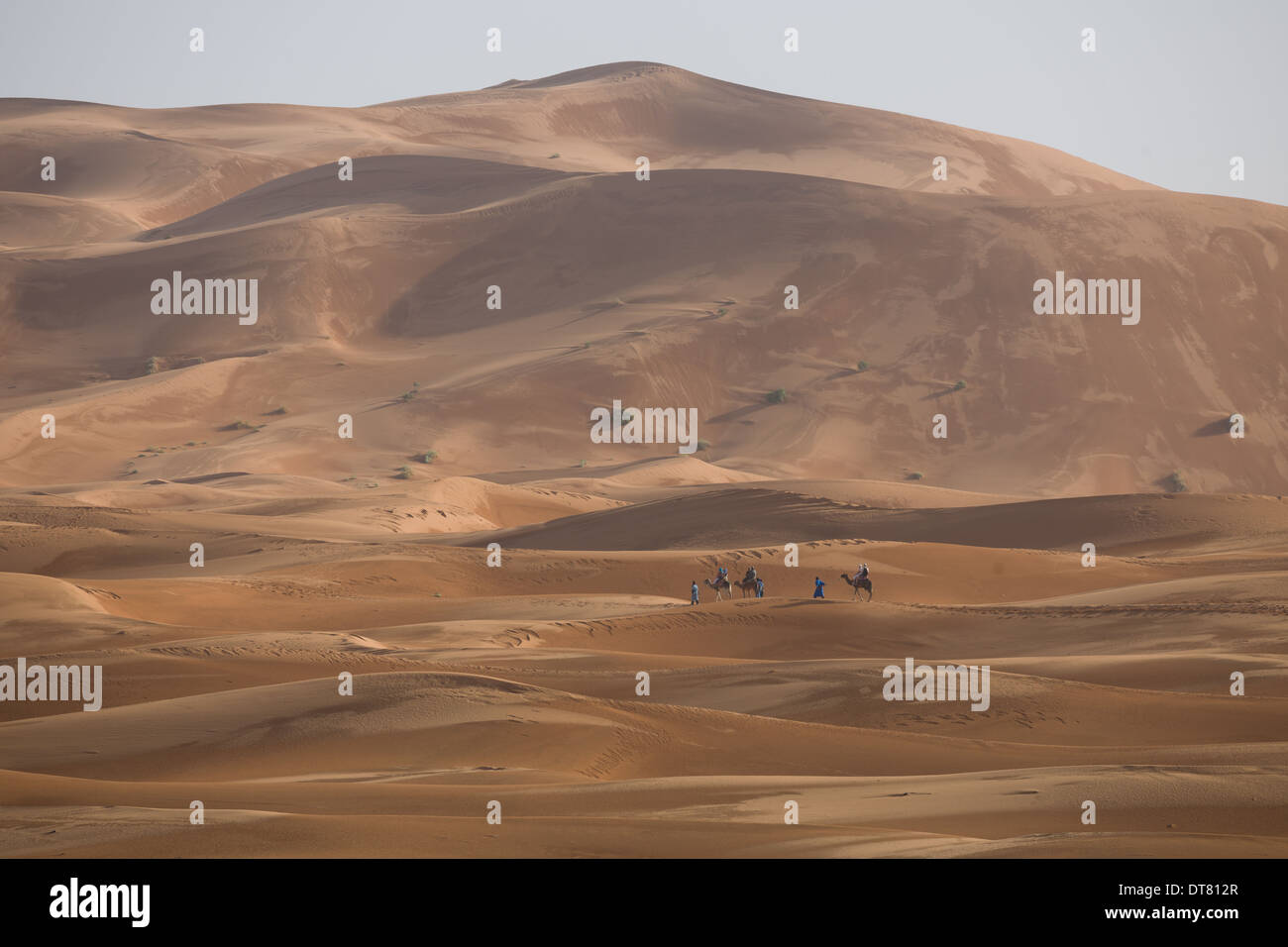 Tourist camel train amidst rolling dunes at sunset in the Sahara Desert at Erg Chebbi, Merzouga, Morocco Stock Photo