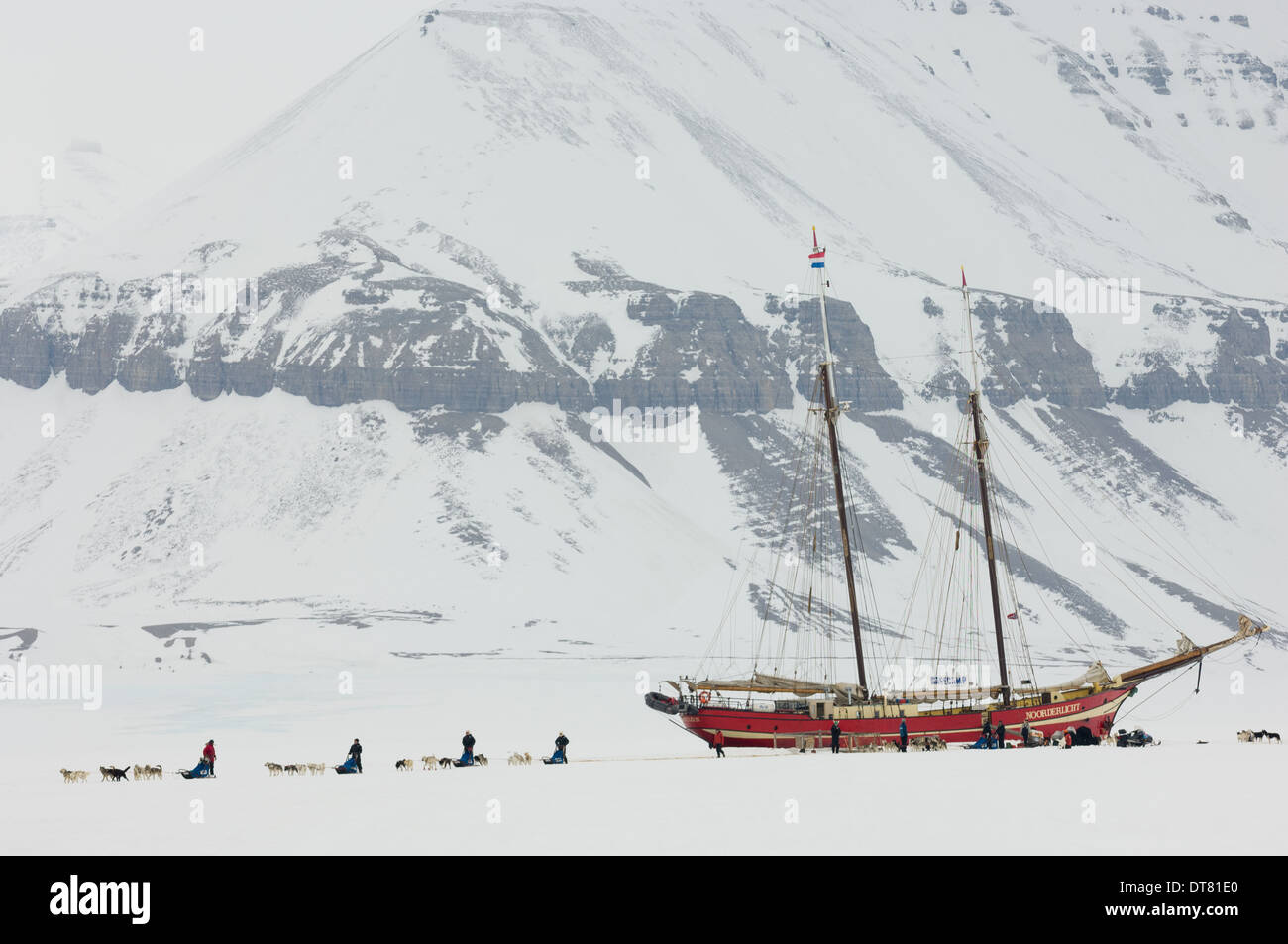 Dog sled teams racing away from the Noorderlicht 'Ship in the Ice', Temple Fjord (Tempelfjorden), Spitsbergen, Svalbard Archipelago, Norway Stock Photo