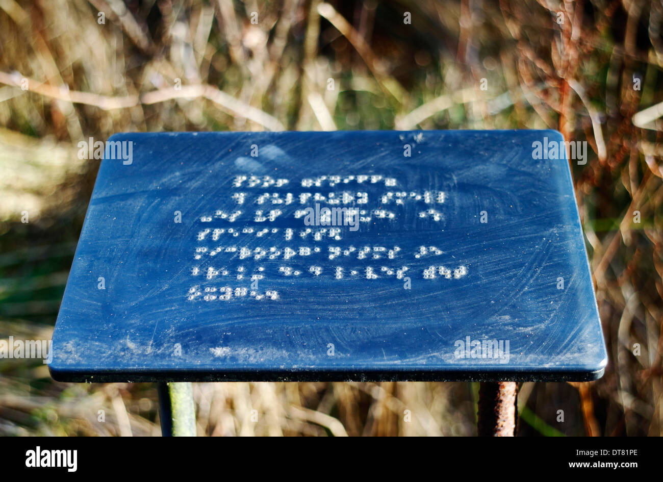 A sign in braille by the Barton Broad Boardwalk on the Norfolk Broads at Barton Turf, Norfolk, England, United Kingdom. Stock Photo