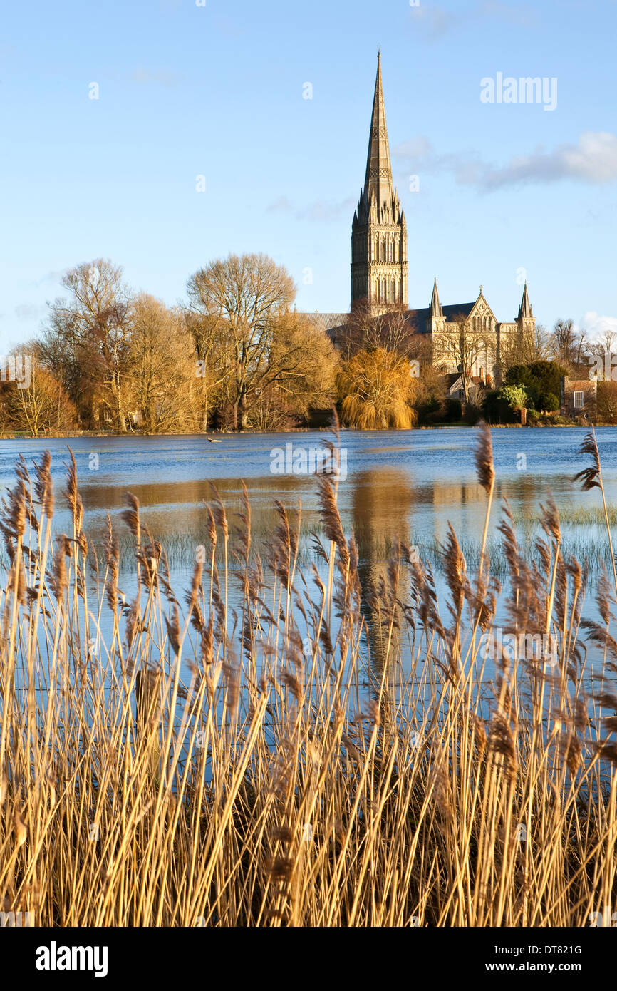 Salisbury, Wiltshire, UK. 11th Feb, 2014.  Salisbury Cathedral viewed over flood water from the River Avon during a sunny spell between continuing stormy weather. Credit:  Ken Leslie/Alamy Live News Stock Photo