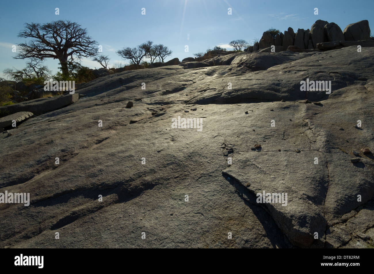 Granite outcrop of Kubu Island (Lekhubu) dotted with Baobab trees, Magkadigkadi Pan, Botswana Stock Photo