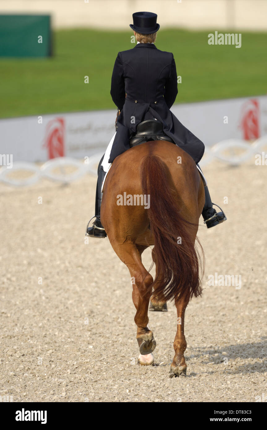Rear view of a dressage rider and horse Stock Photo