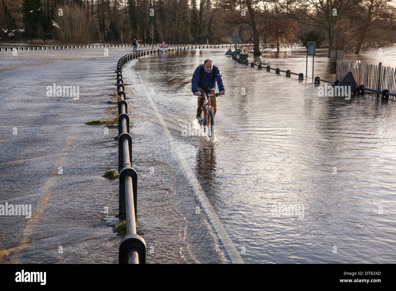 River thames shepperton flooding foloods weather hires stock
