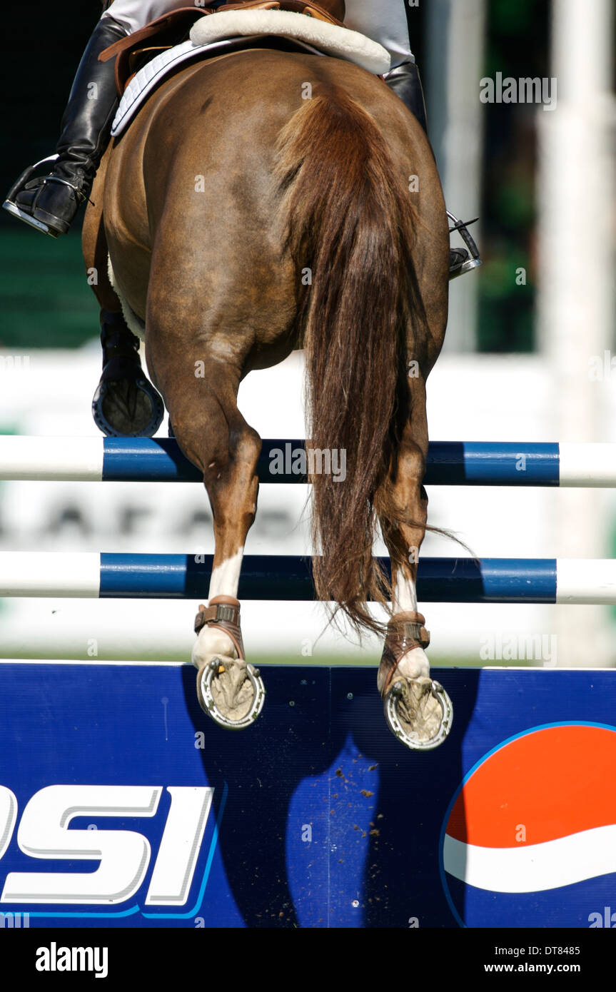 Rider jumping a fence Stock Photo Alamy