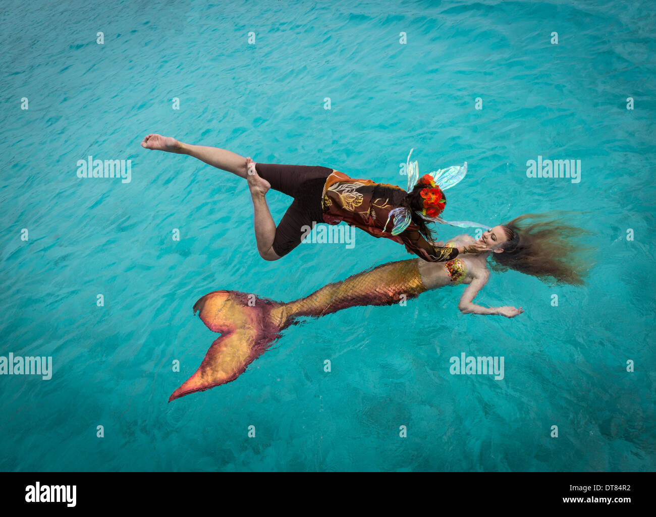 Faerie flies down to see a mermaid floating at water's surface, Exuma Cays, Bahamas Islands Stock Photo