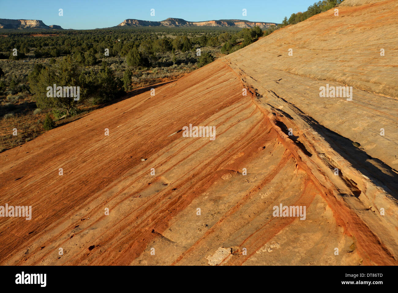 stripes eroding sandstone Slickrock Utah Stock Photo