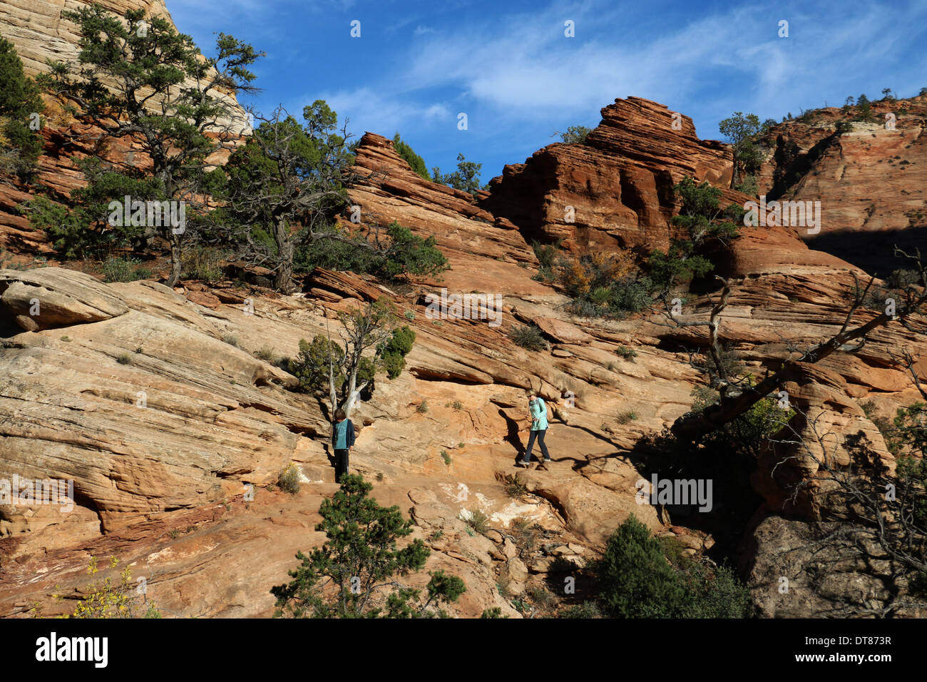 hikers on slickrock in Zion National Park Utah Stock Photo