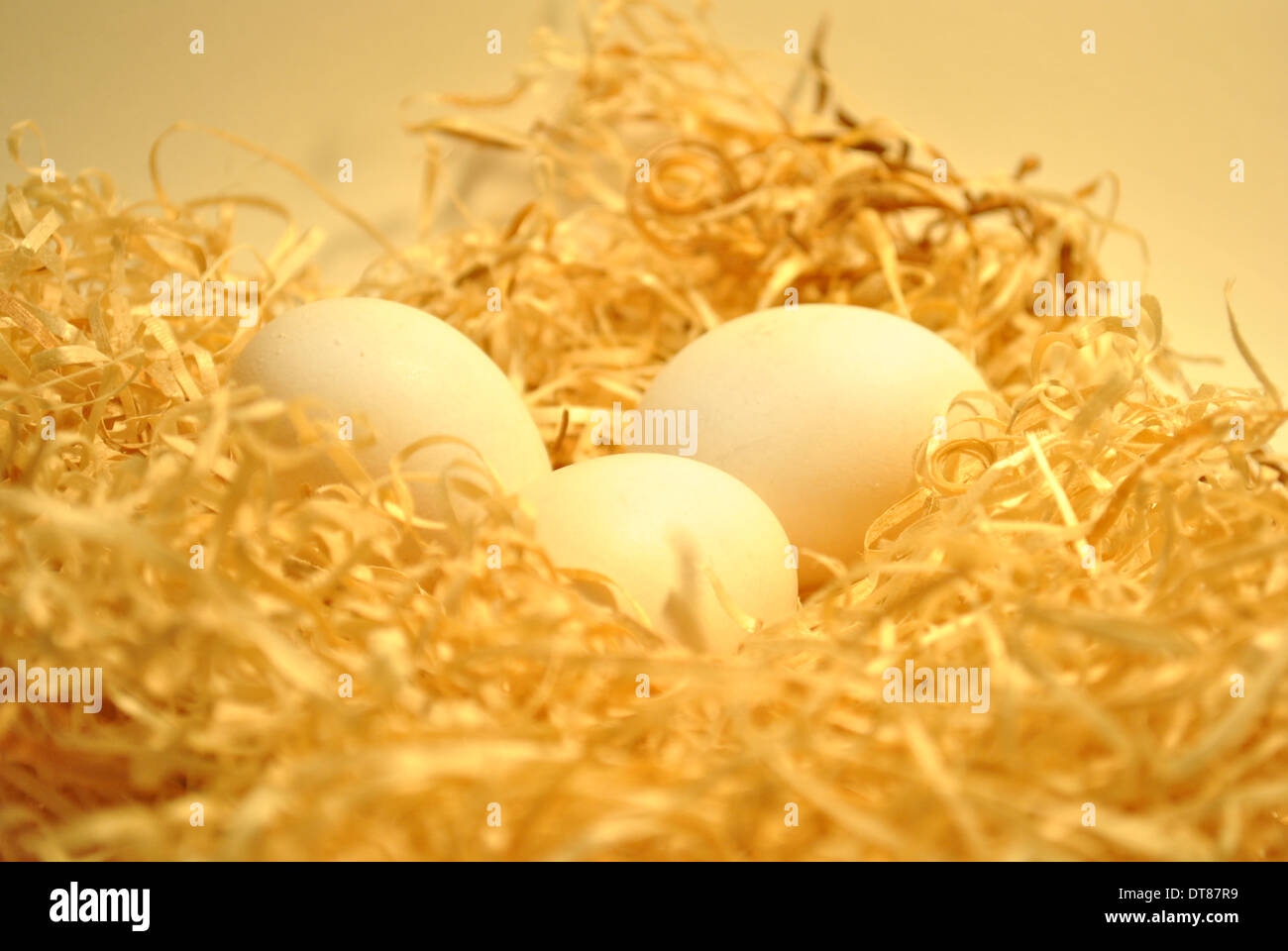 Nest with three eggs Stock Photo - Alamy