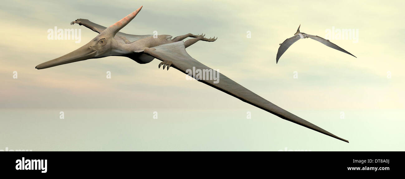 two-pteranodon-dinosaurs-flying-in-cloudy-sky-stock-photo-alamy
