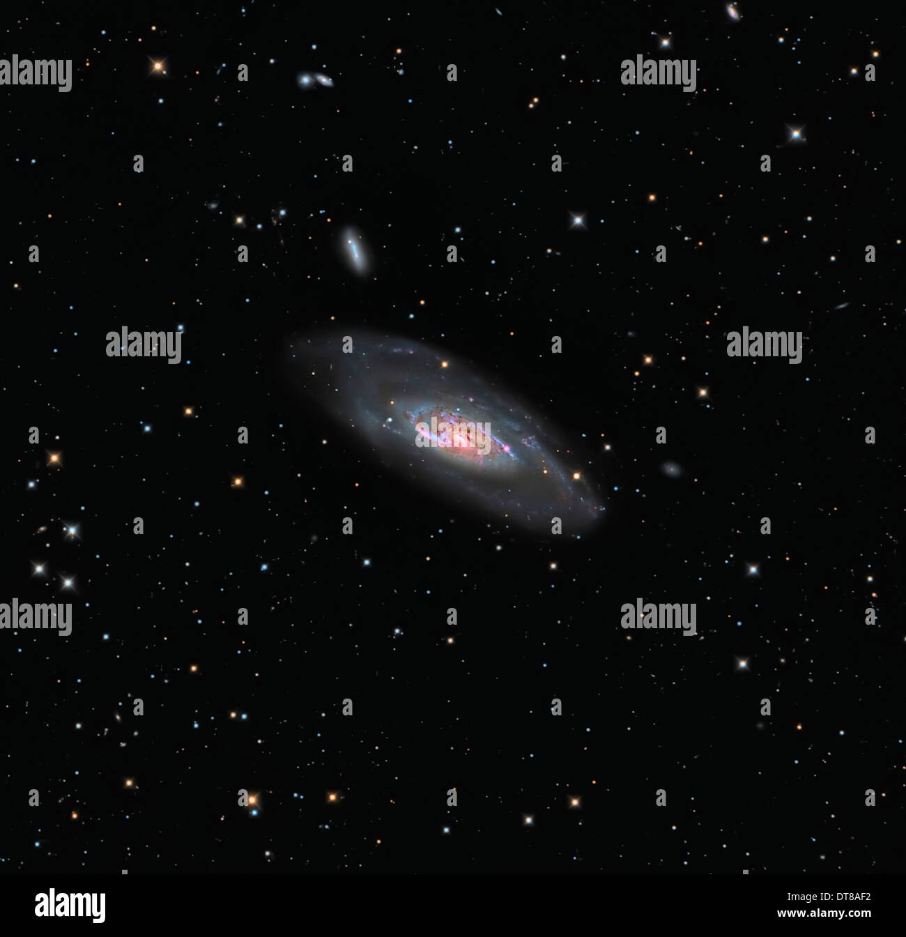 Messier 106 hires stock photography and images Alamy