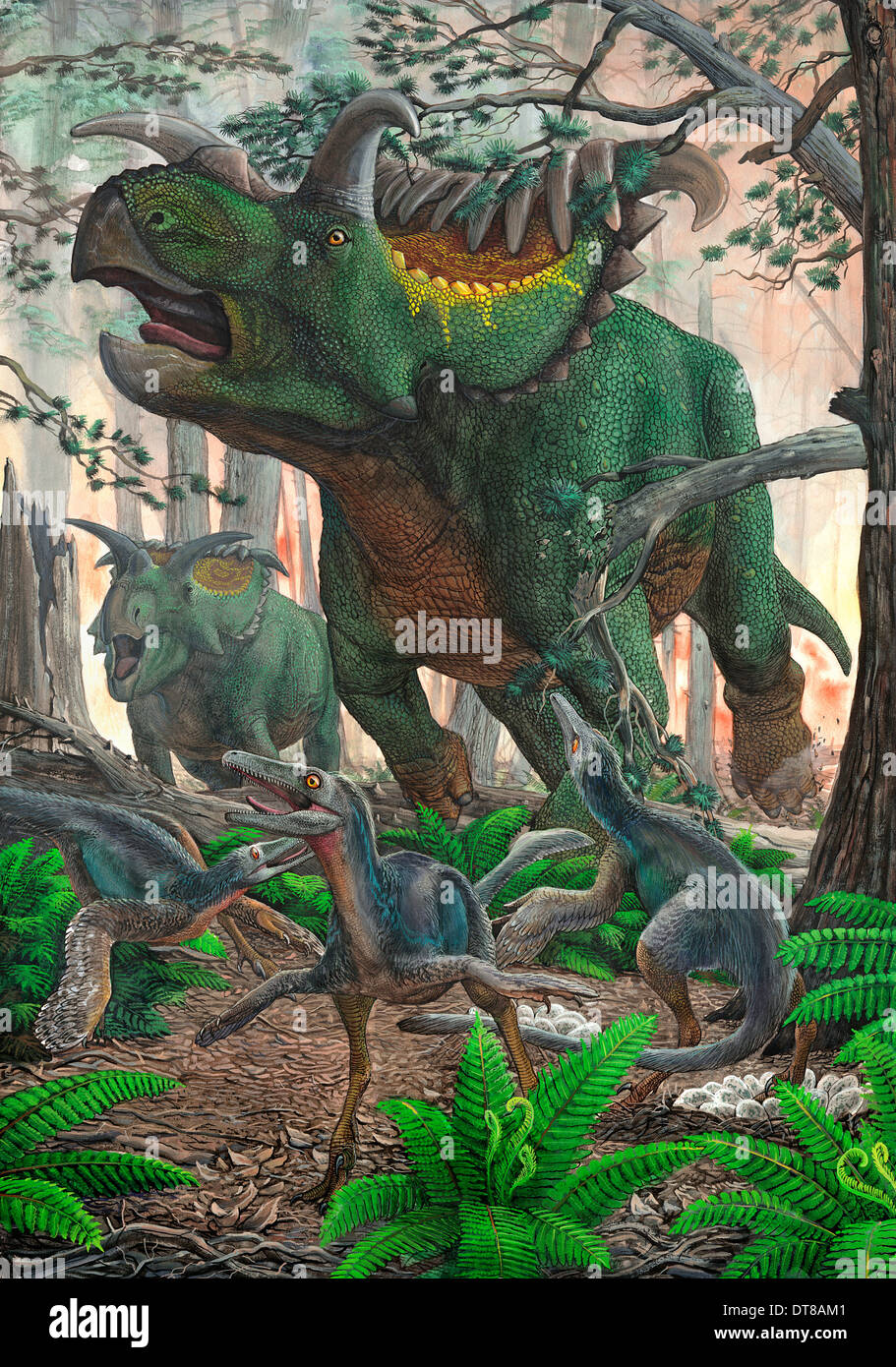 Kosmoceratops tramples over nesting Talos dinosaurs while fleeing from a forest fire. Stock Photo