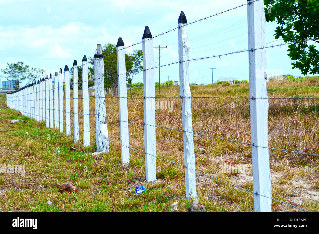 Barbwire fence showing wooden posts all aligned fencing a pasture field Stock Photo