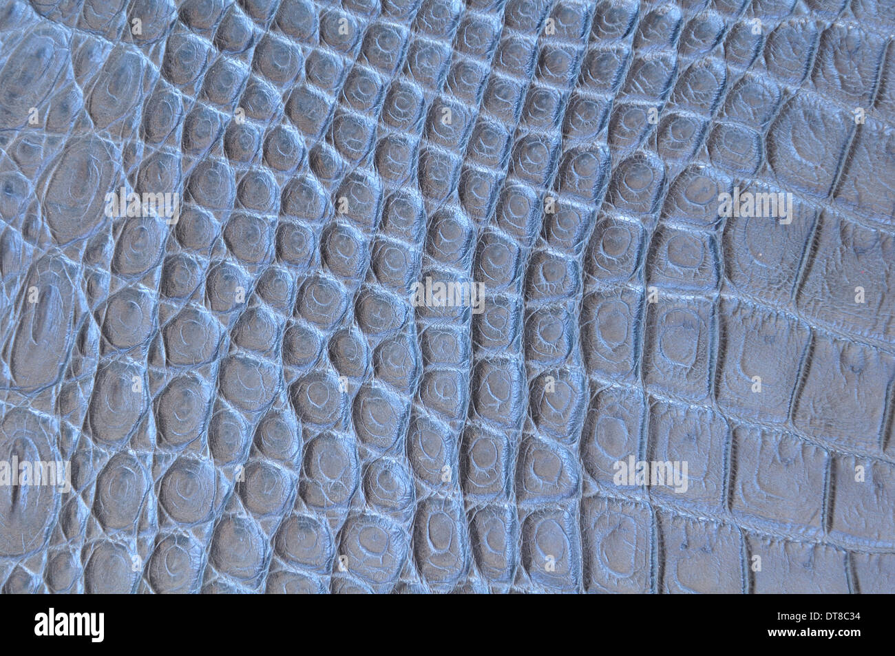 Crocodile skin pattern Stock Photo - Alamy