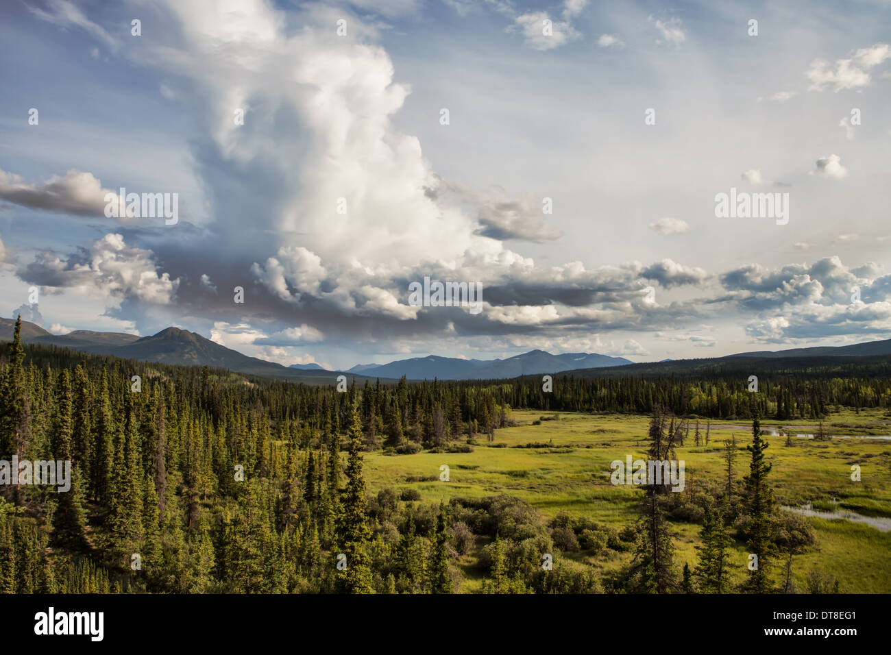 Wilderness territory hi-res stock photography and images - Alamy