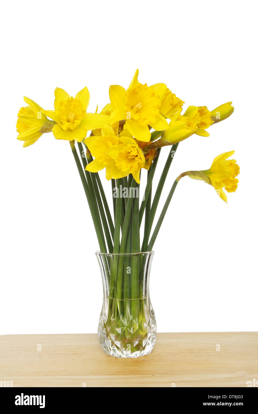 Bunch of daffodils in a glass vase on a wooden table against a white