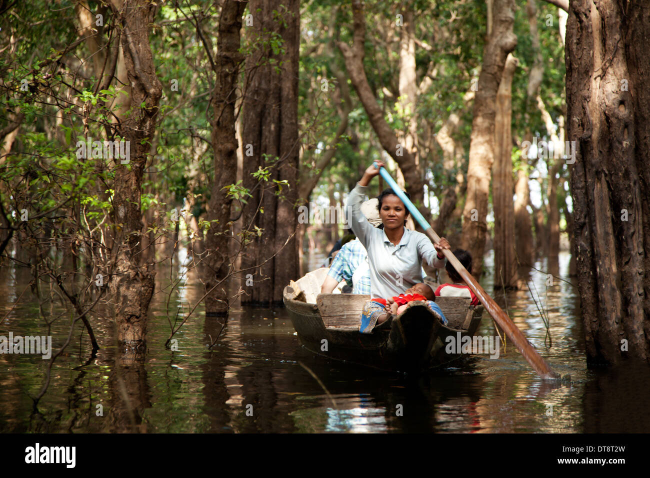 Boat in flooded forest Stock Photo