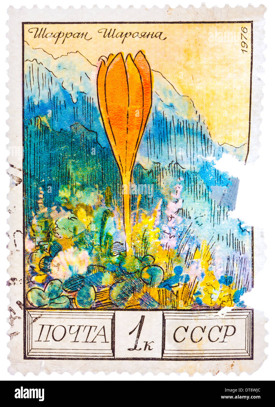 USSR - CIRCA 1976: Stamp printed by the Soviet Union Post shows Sharoyans saffron, circa 1976 Stock Photo