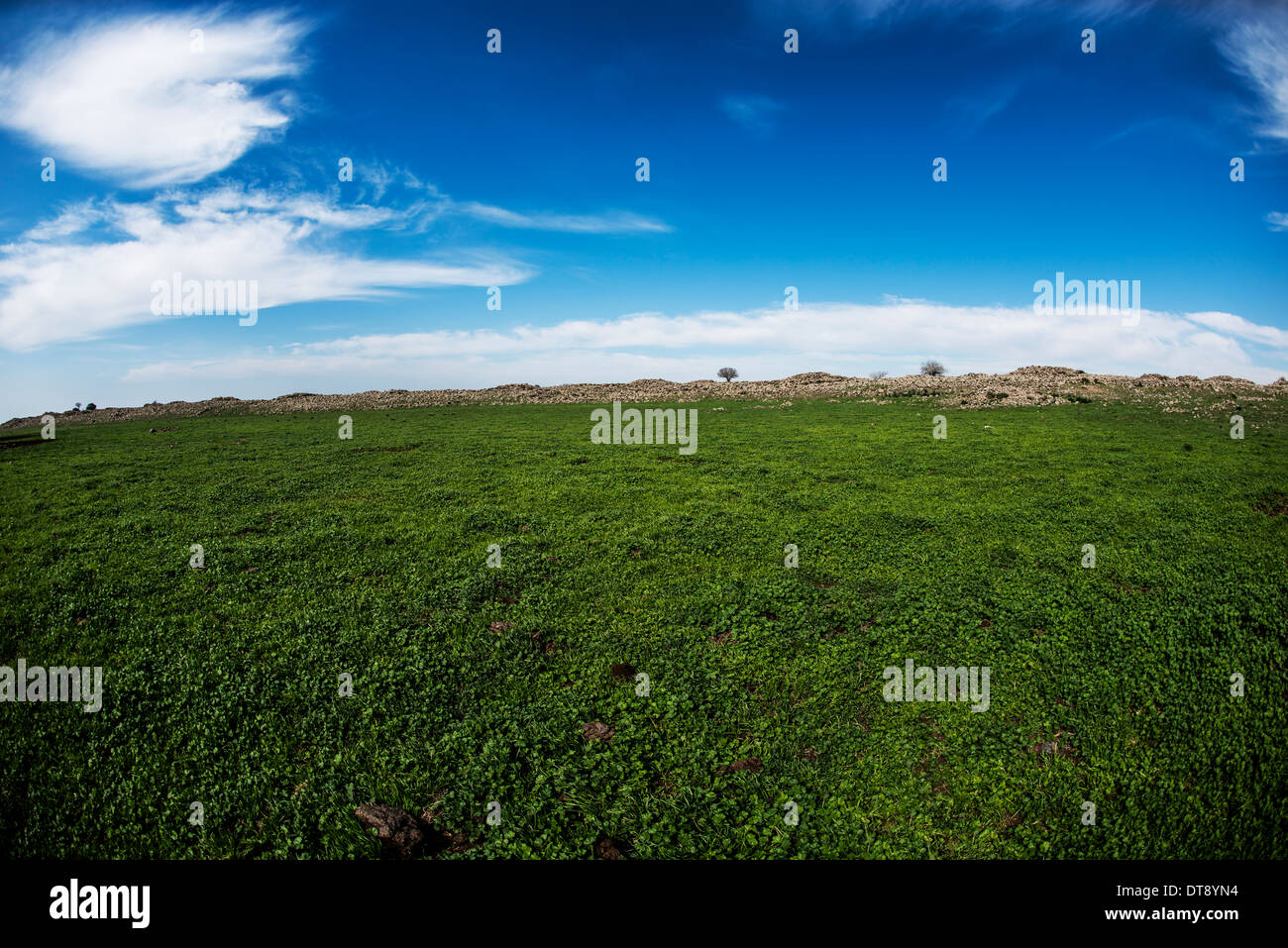 Rujm El Hiri, Gilgal or Galgal Refaim, Wheel of Spirits, Golan Heights, , Bashan,Israel Stock Photo