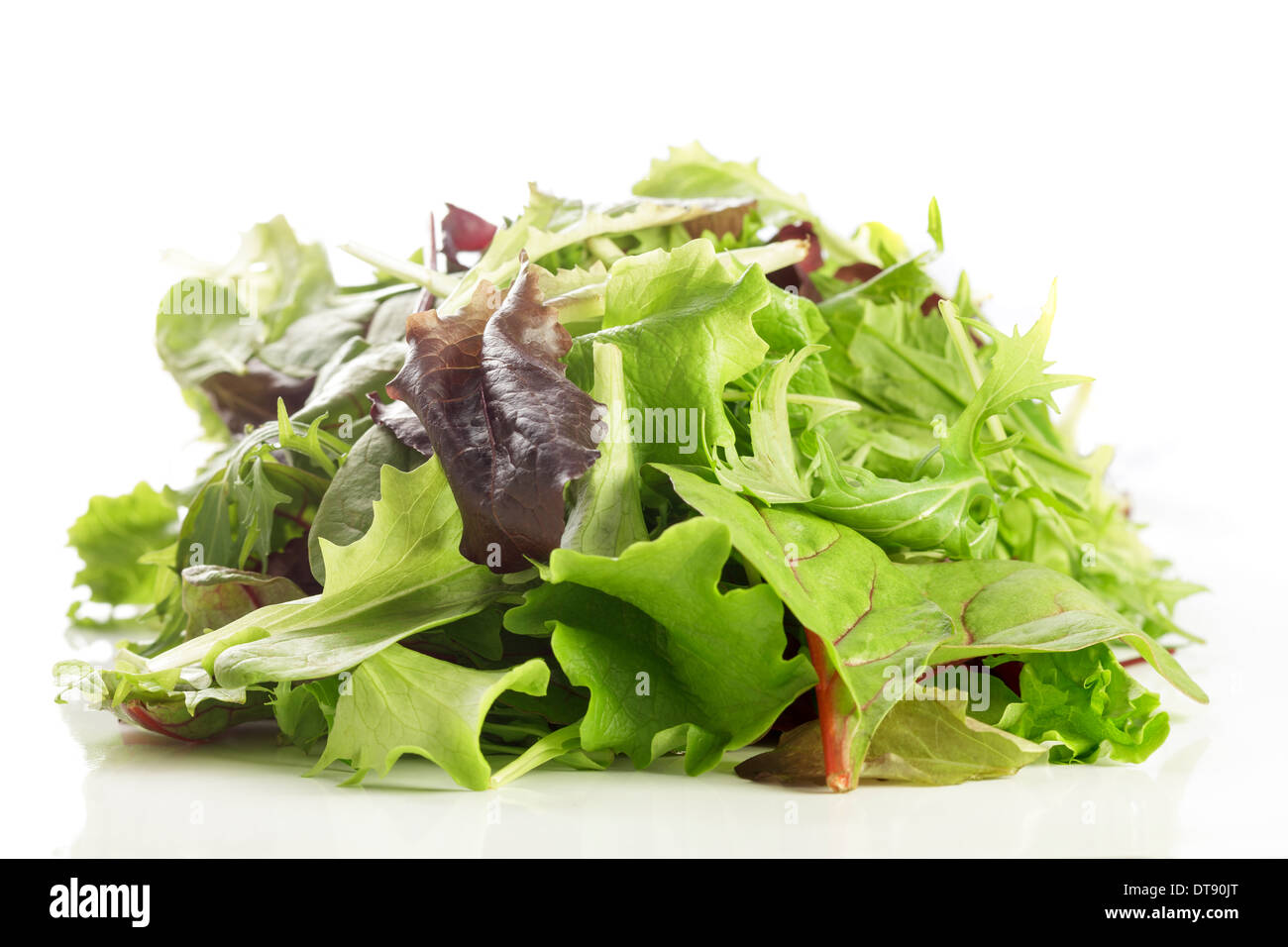 Mixed Lettuce Leaves Stock Photo