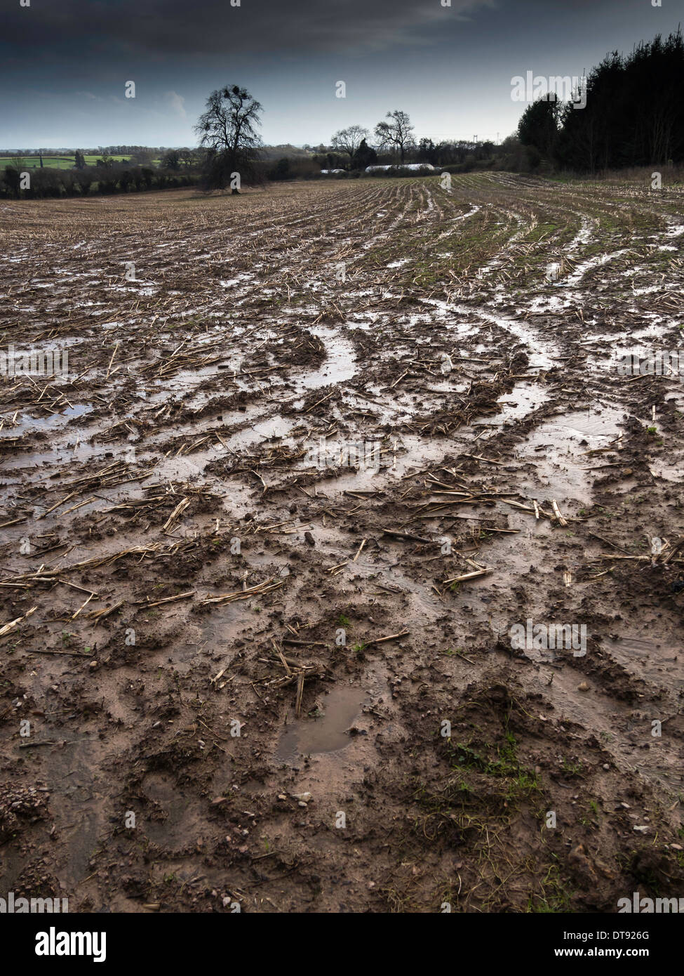 SATURATED FARM LAND AFTER PROLONGED HEAVY RAIN FEBRUARY 2014 Stock Photo