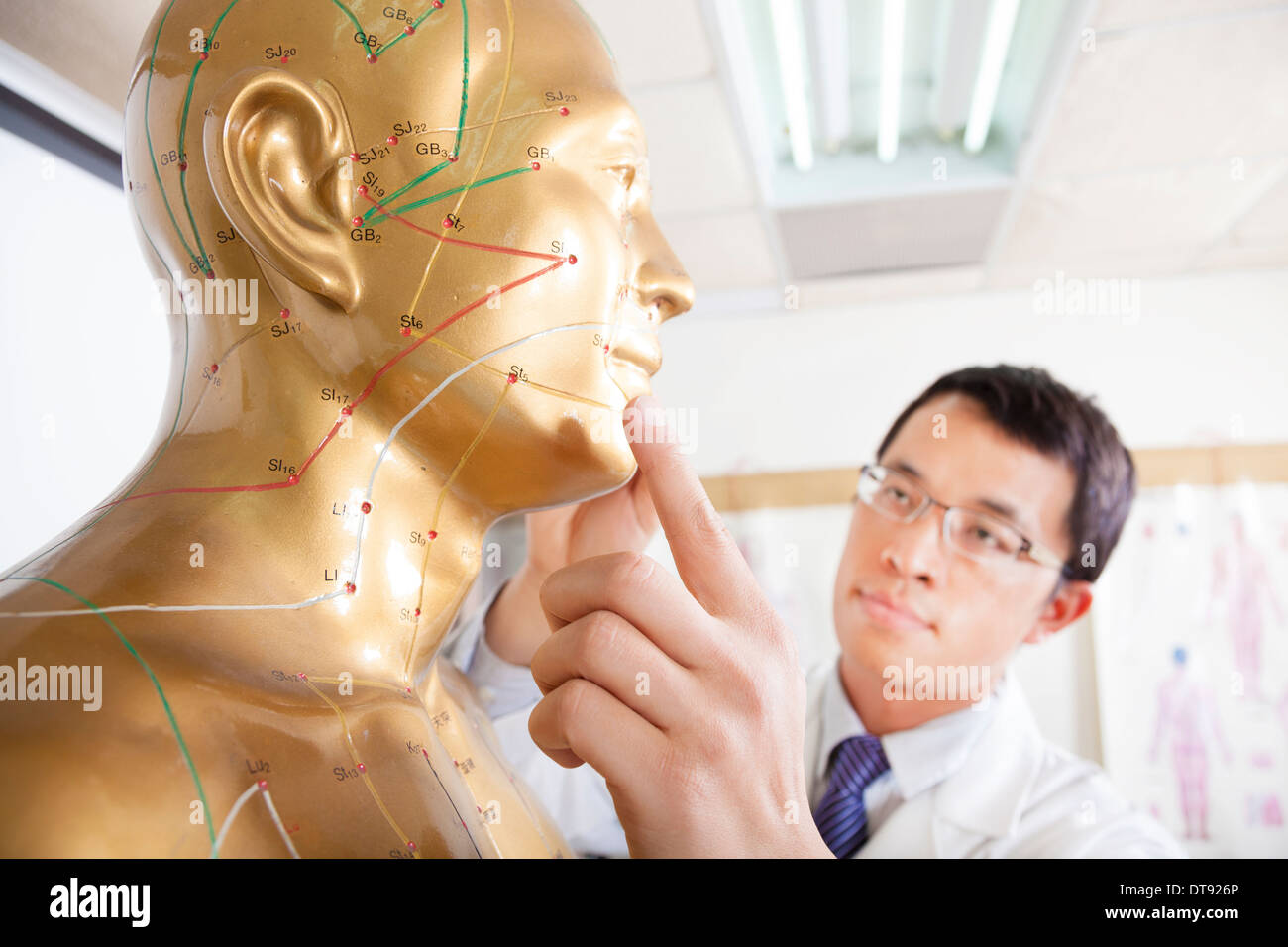 chinese medicine doctor teaching Acupoint on human model Stock Photo