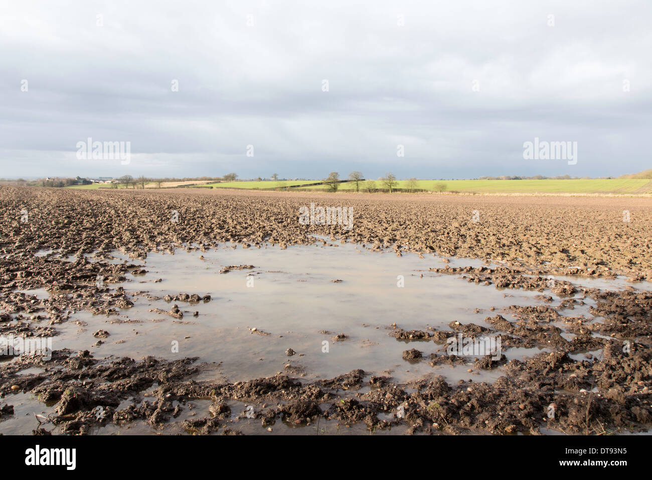 Waterlogged soil uk hires stock photography and images Alamy