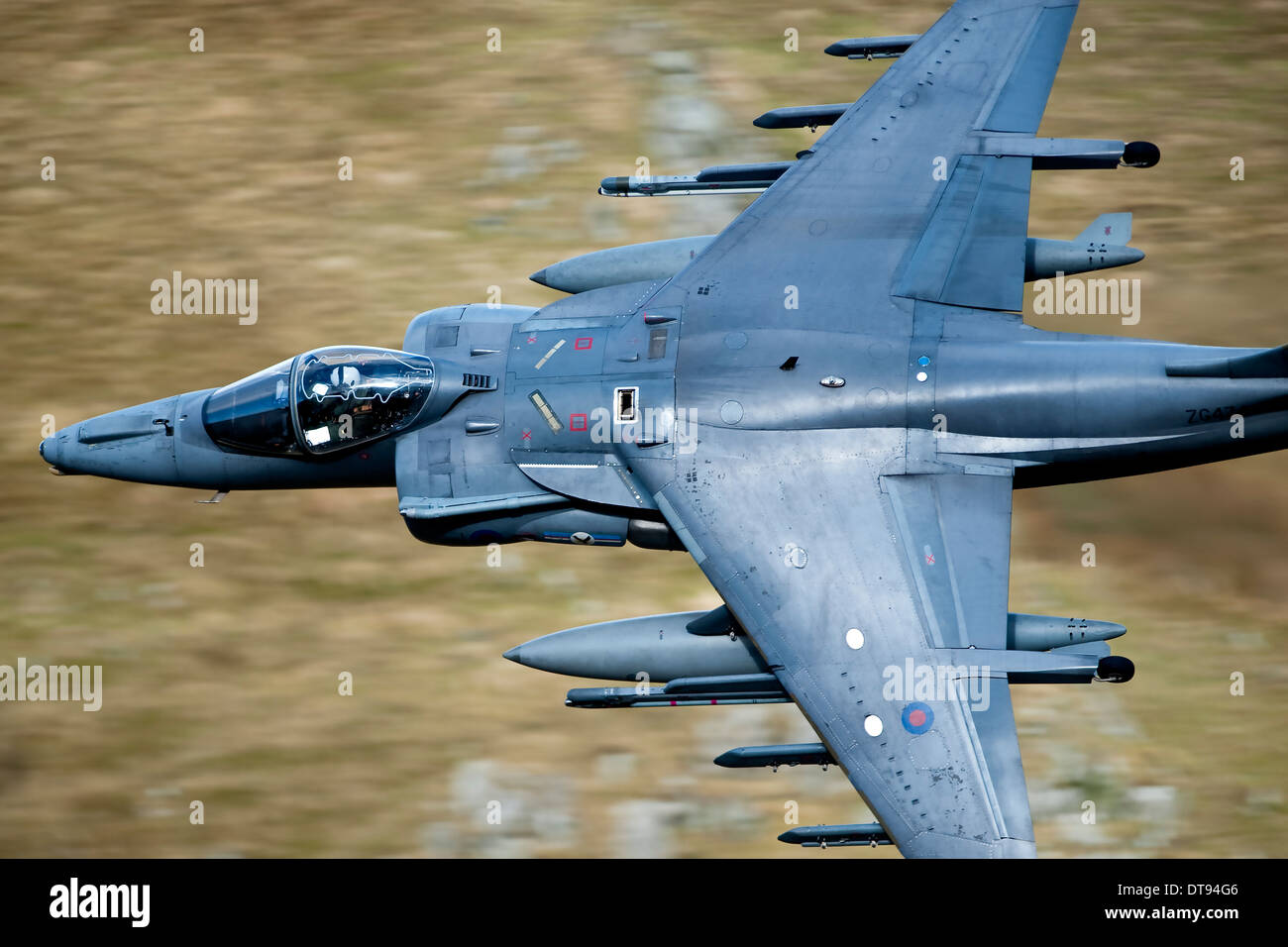 RAF Harrier GR9 Stock Photo