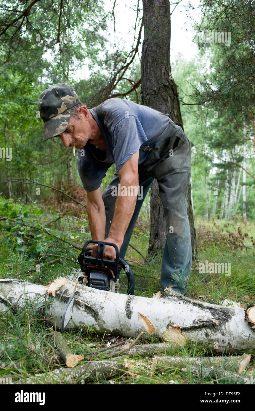 Chainsaw Man Wood Stock Photos & Chainsaw Man Wood Stock Images - Alamy