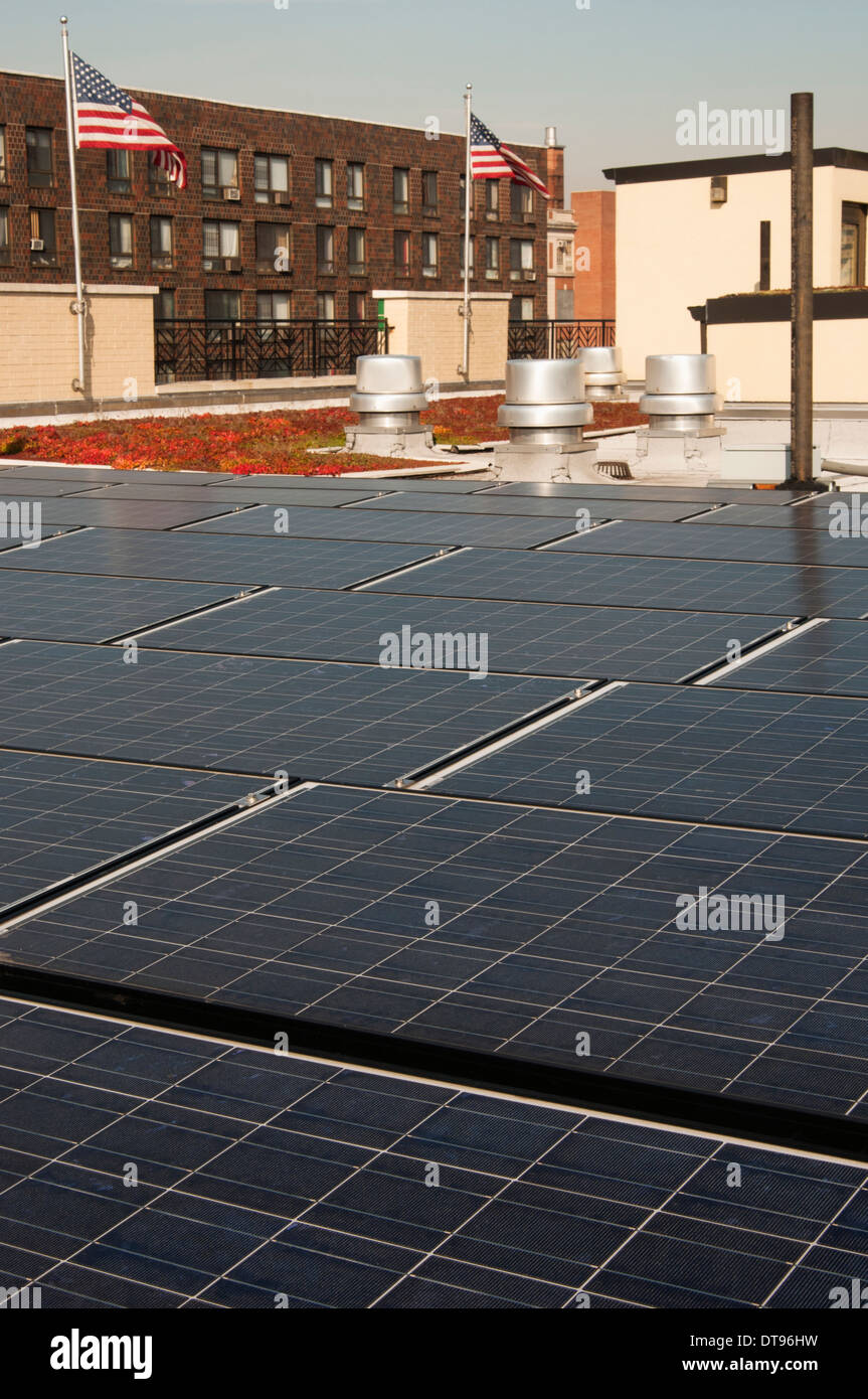 A rooftop garden that is part of a public housing project in the Bronx