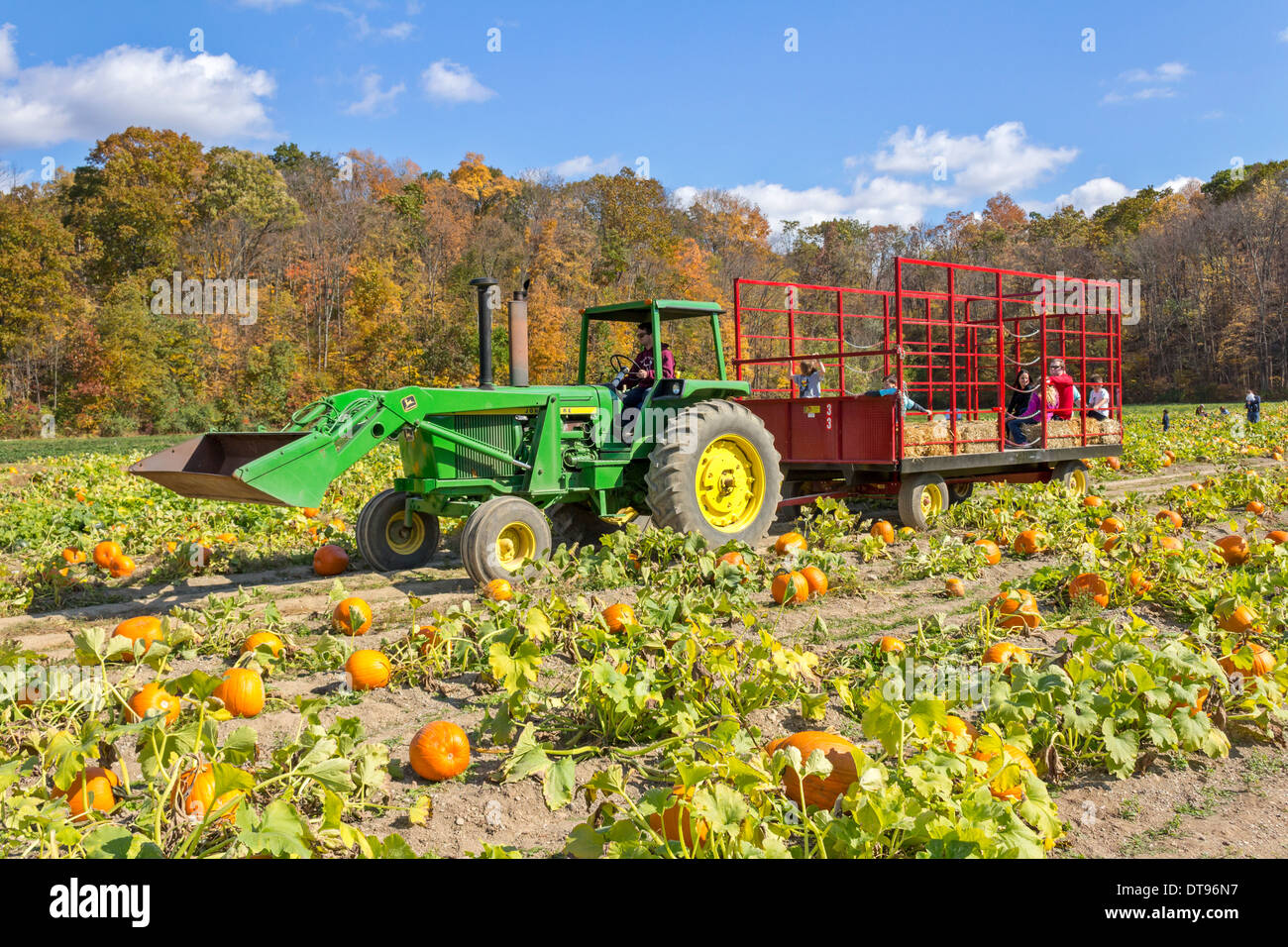 Tractor hay ride child hi-res stock photography and images - Alamy