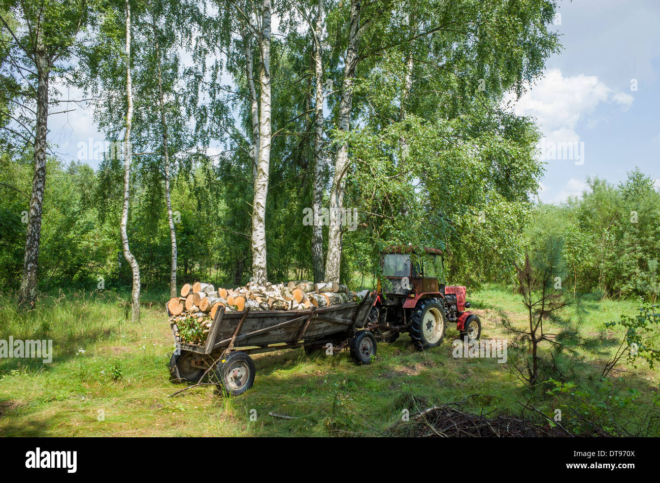 Hauling Logs Stock Photos & Hauling Logs Stock Images Alamy Hauling Logs Stock Photos & Hauling Logs Stock Images Alamy