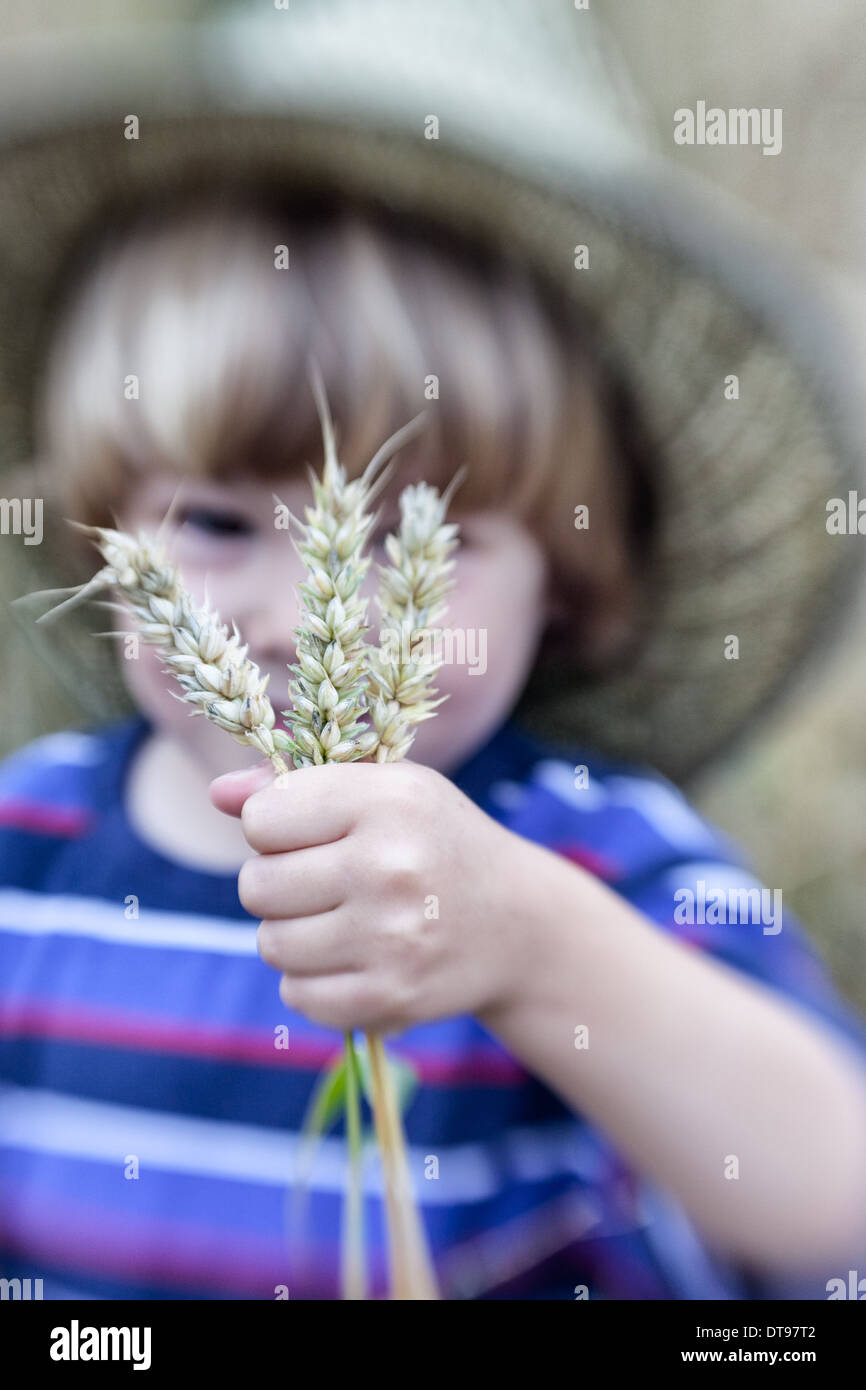 A little boy holds ears of wheat in his hand wearing a hat. Stock Photo