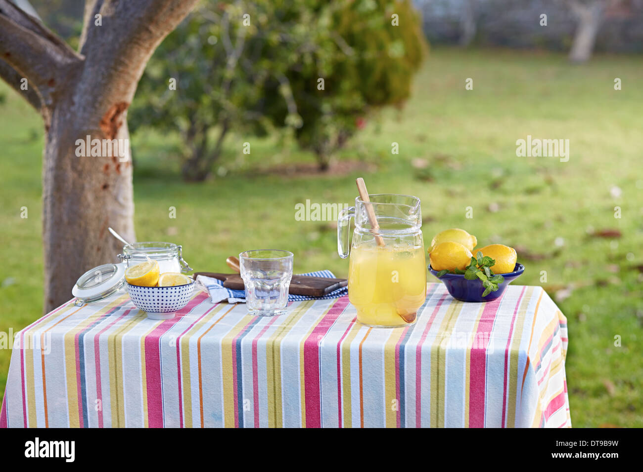 Preparing homemade lemonade in garden table with stripped cloth Stock Photo