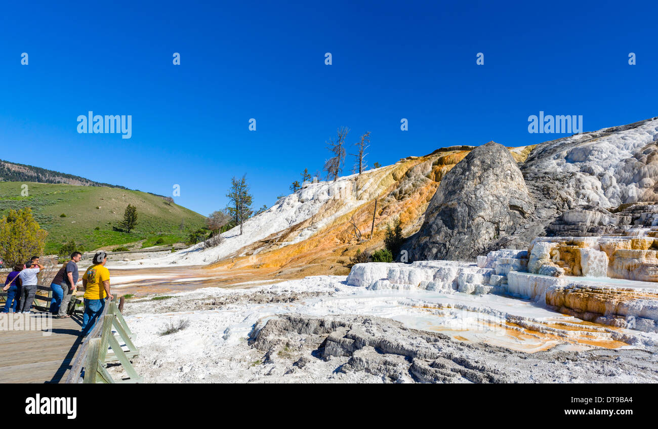 Tourists viewing the travertine terraces at Palette Spring, Mammoth Hot Springs, Yellowstone National Park, Wyoming, USA Stock Photo