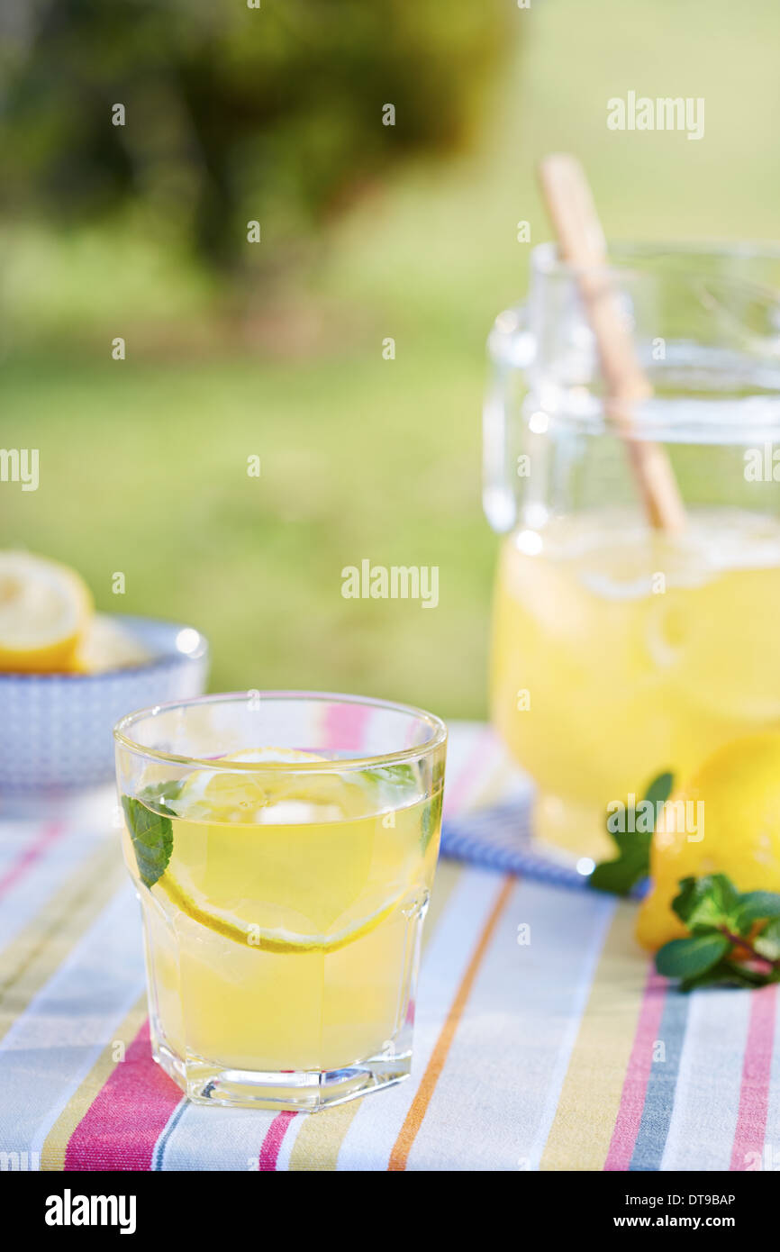 Glass of homemade lemonade in a garden table Stock Photo