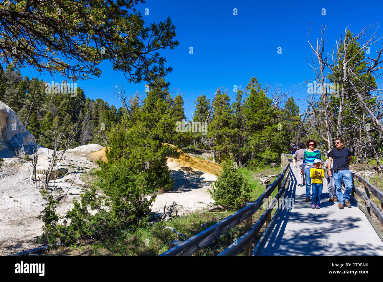 Tourist on trail by Orange Spring Mound travertine formation, Mammoth Hot Springs Terraces, Yellowstone National Park, WY, USA Stock Photo