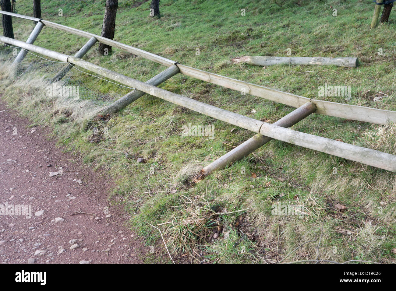 Collapsed Rotten Wooden Post and Rail Fencing Stock Photo