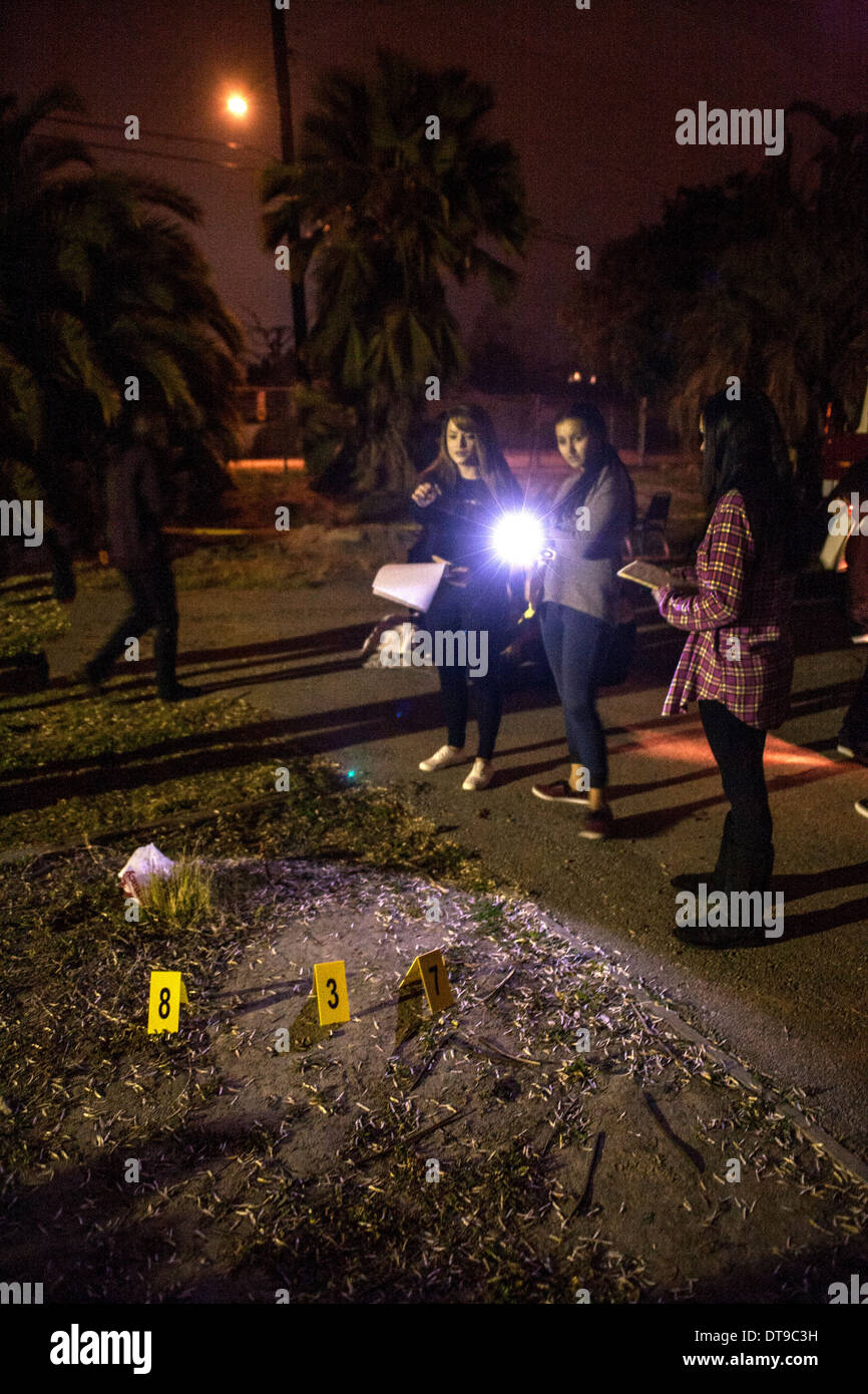 Hispanic Regional Occupation Program (ROP) students  shine flashlights on 'clues' in a crime scene investigation outdoor class. Stock Photo