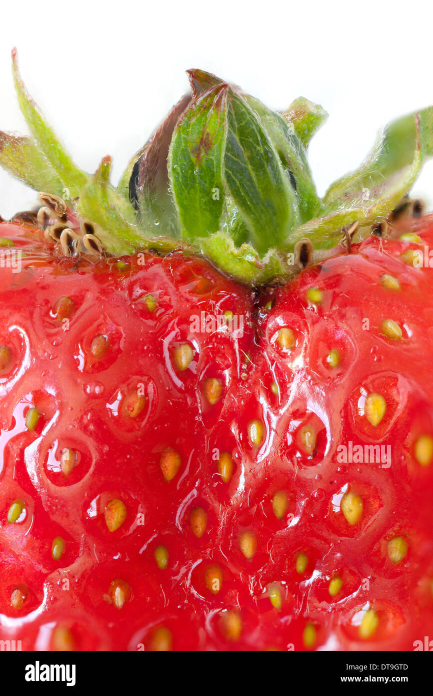 Macro of a ripe strawberry, top side view. Stock Photo
