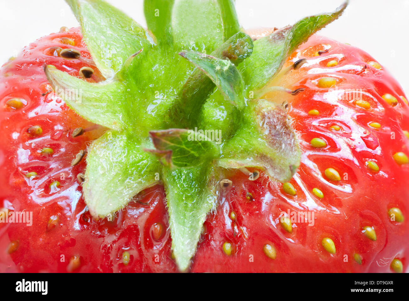 Macro of a ripe strawberry, top view. Stock Photo