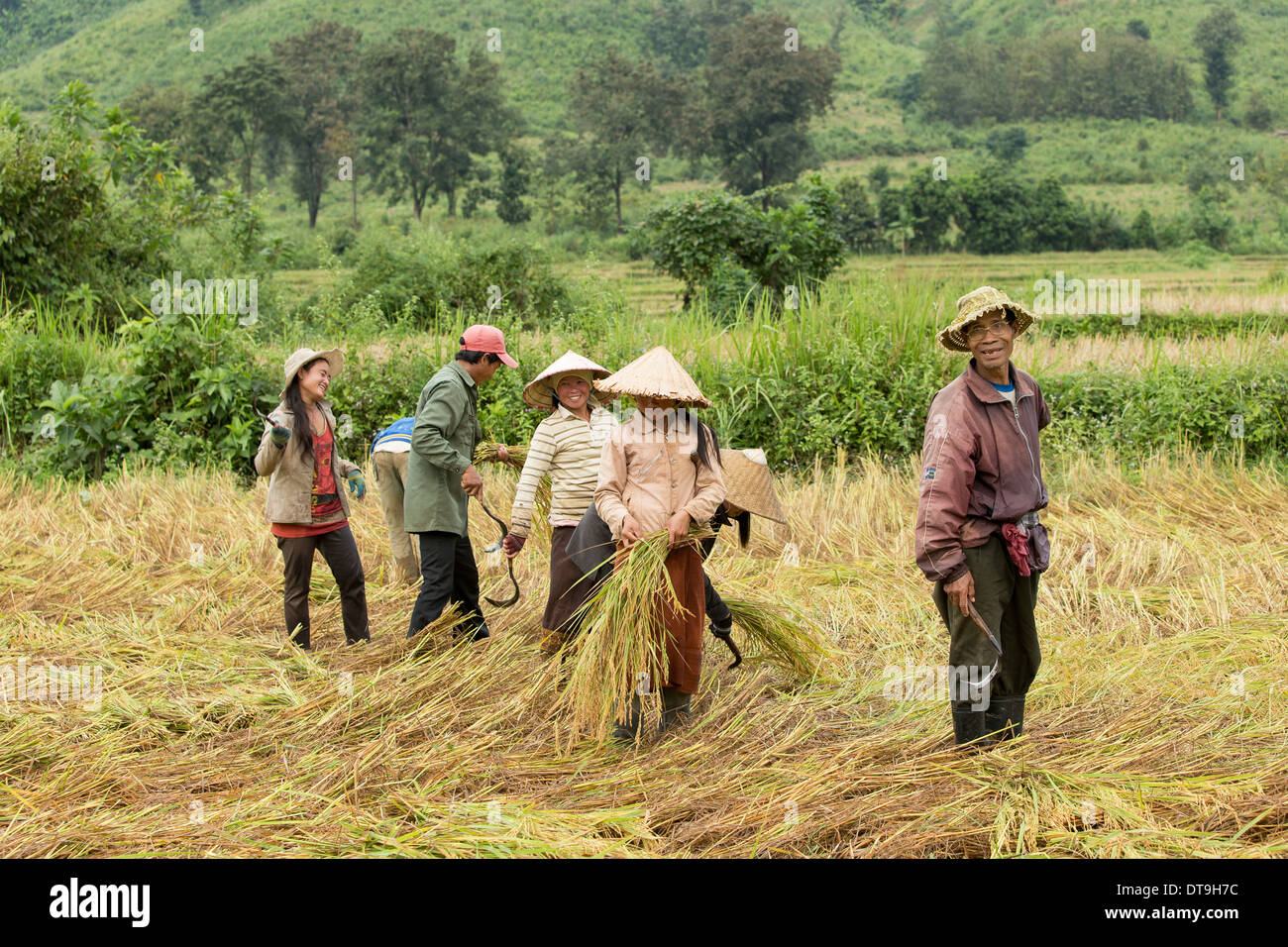Workers in the fields hires stock photography and images Alamy