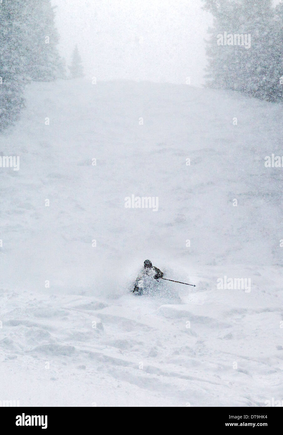 Skier in fresh deep powder, Monarch Mountain, Colorado, USA Stock Photo