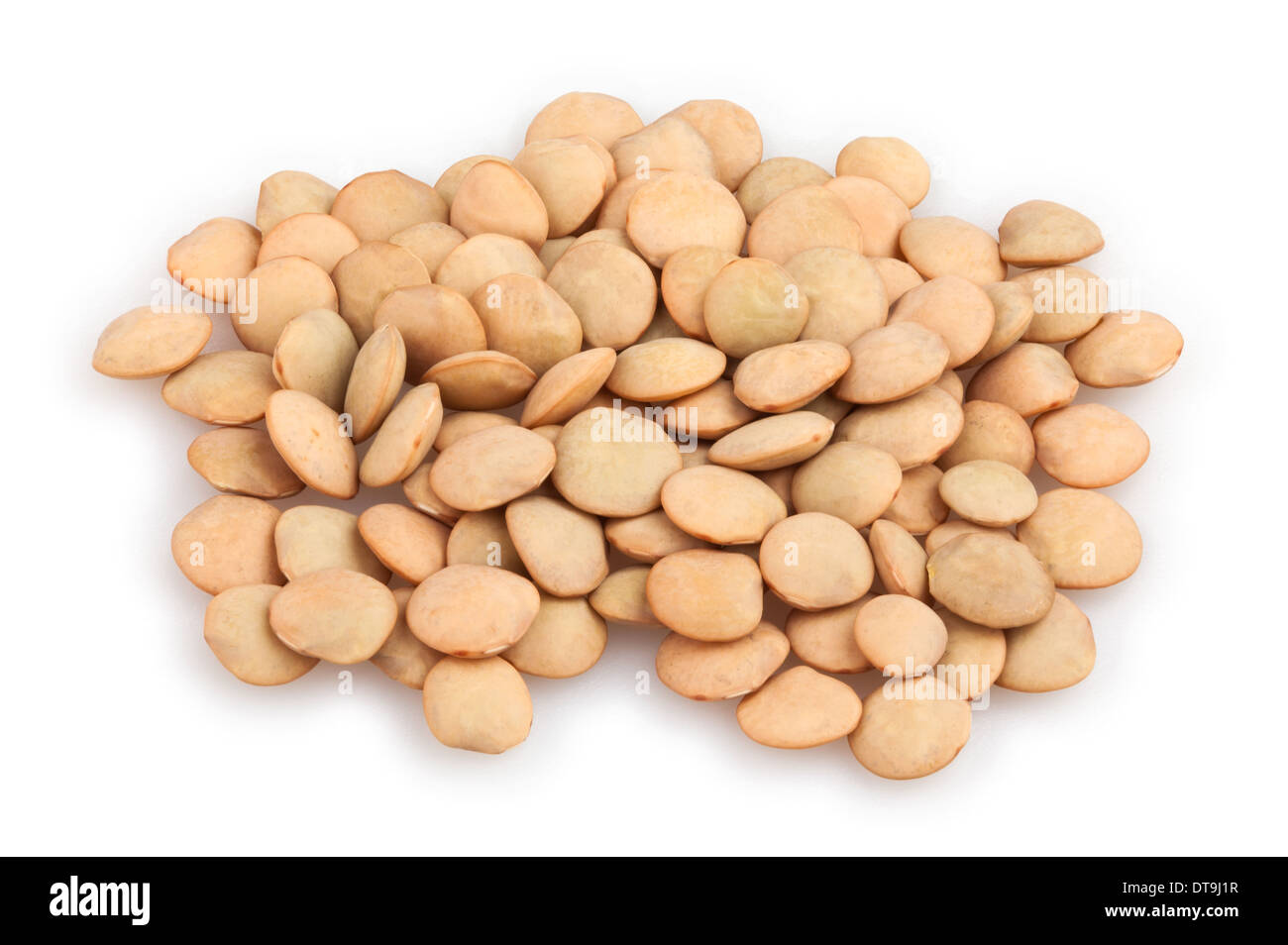 lentils group isolated on white Stock Photo
