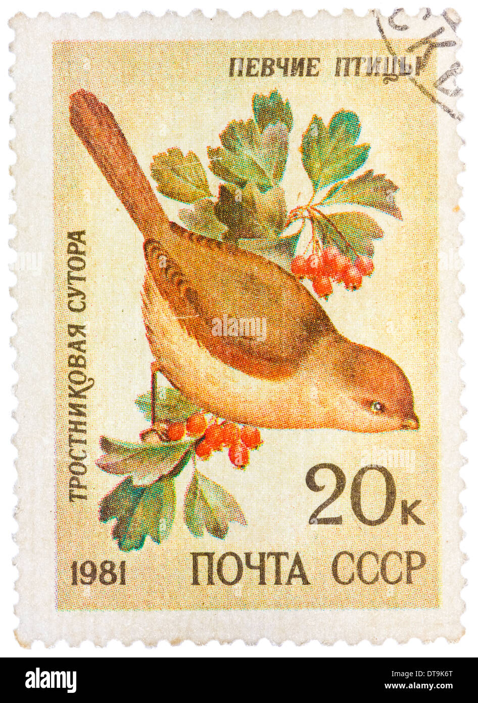 RUSSIA - circa 1981: stamp printed by Russia, shows bird, Reed Parrotbill, circa 1981 Stock Photo