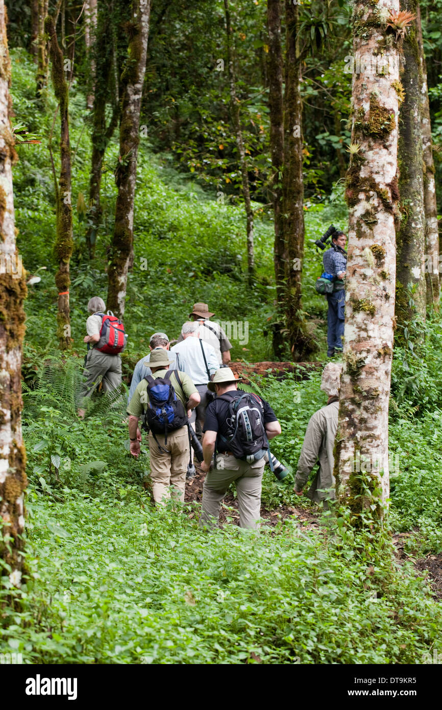 Eco-tourists and local guide. Savegre. San Gerardo de Dota. Costa Rica. Central America. Stock Photo